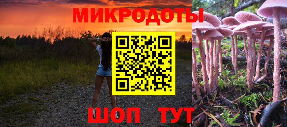 Сланцы  закладка  Вход с VPN  Псилоцибиновые грибы мухоморы  Галлюциногенные грибы Psilocybine cubensis 